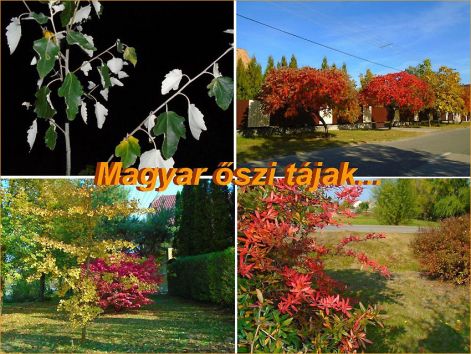 őszi_tájak 2018_őszi_tájak