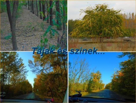 teli_szinek 2018_teli_szinek