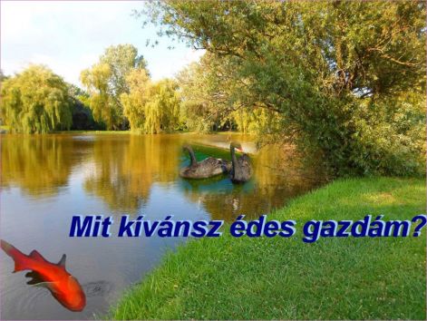 mit_kivansz mit_kivansz