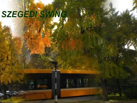 2018szegedi_swing