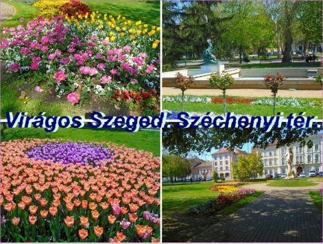 szeged-szechenyi-ter szeged-szechenyi-ter