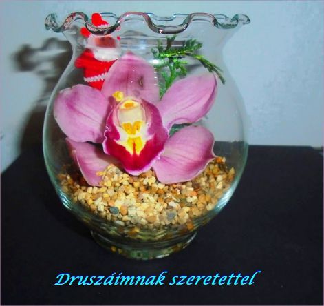 katalinoknak katalinoknak