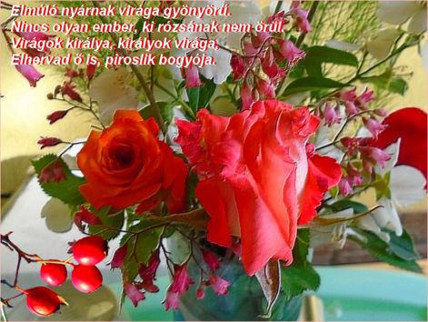 csokorbogyoval csokorbogyoval