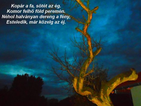 kopar_fa eredeti_fa_verssel