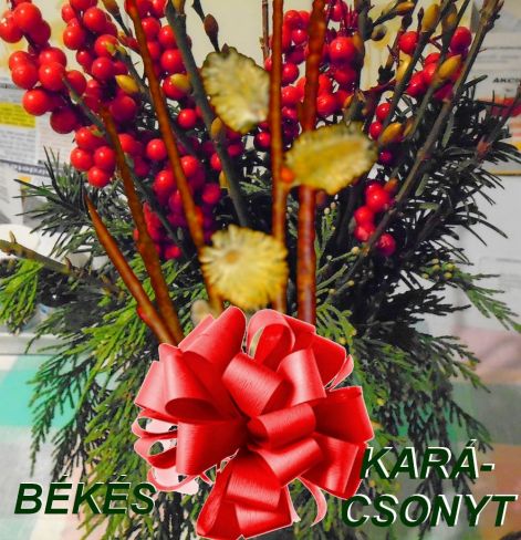 karacsonyi őnnepre karacsonyi unnep