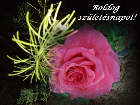 szulinapra boldog_szuletesnapot