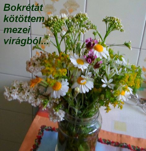 bokreta bokretat_kotottem