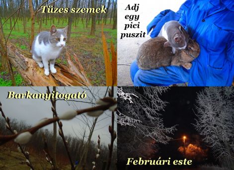 kepmix kepmix_februari_este