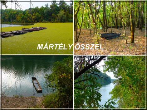holtmaros_martely_oszi_kepek martély_összel_holtmaros