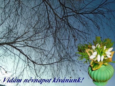nevnapra nevnapra