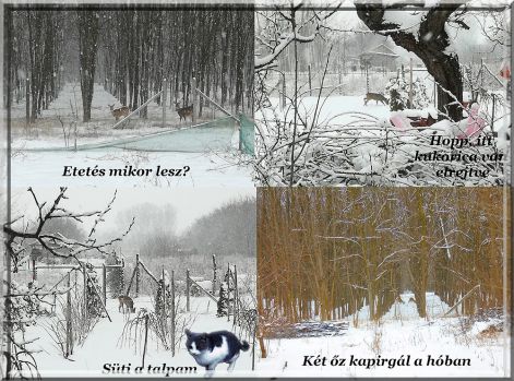 özek_teli_etetes özek_varnak_az_etetesre