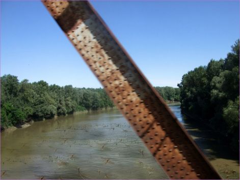 A Tisza_tiszavirag A Tisza_tiszavirag