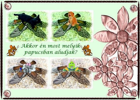 akkor_most akkor_most