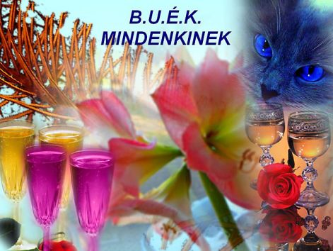 buek buek