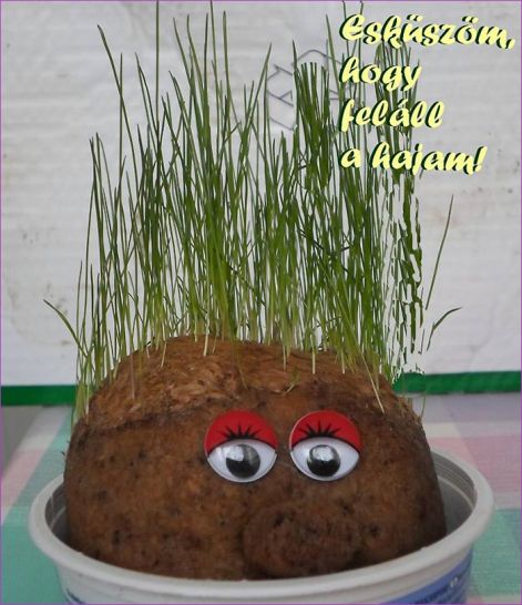 Eszküszöm_hogy _feláll_a_hajam. Eszküszöm_hogy _feláll_a_hajam.