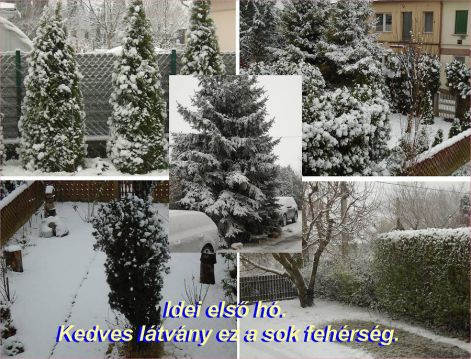 havaskert havaskert