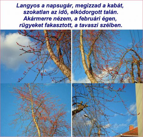 kato_kepe Kató. Langyos a napsugár
