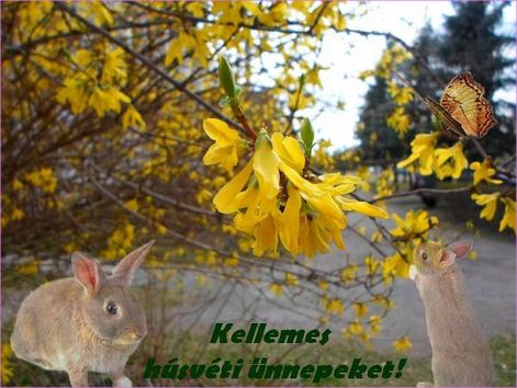 kellemes-husvetot kellemes-husvetot