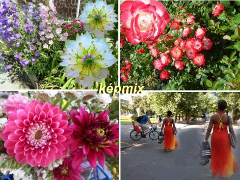 kepmix_szeged kepmix_szeged