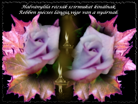 lila_r_duo lila_r_duo