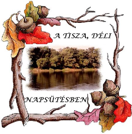 A_Tisza_déli_napsütésben A_Tisza_déli_napsütésben