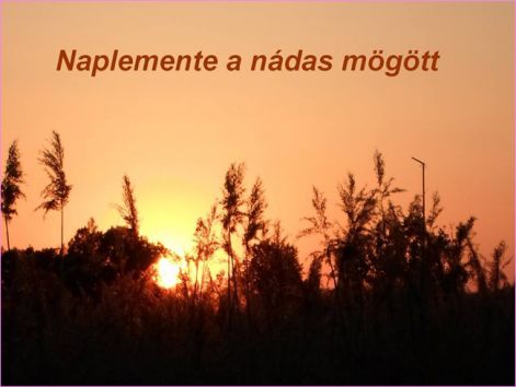 naplemente naplemente a nadas mögött