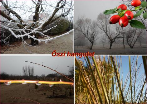 oszi_hangulat oszi_hangulat2017