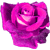 rozsa_2.gif rozsa_2.gif