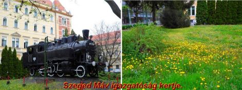 szeged-mavkert szeged-mav