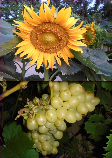szeptember2018 szeptember2018