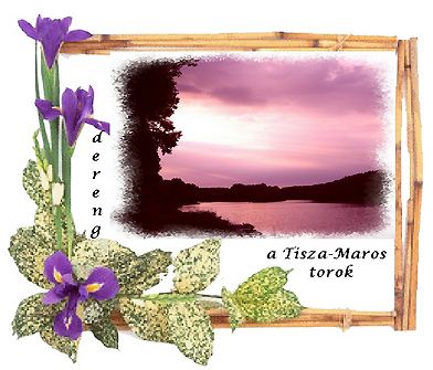 tisza