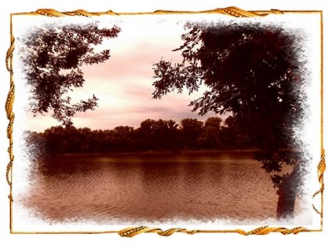 tisza_tulpartja tisza_tulpartja